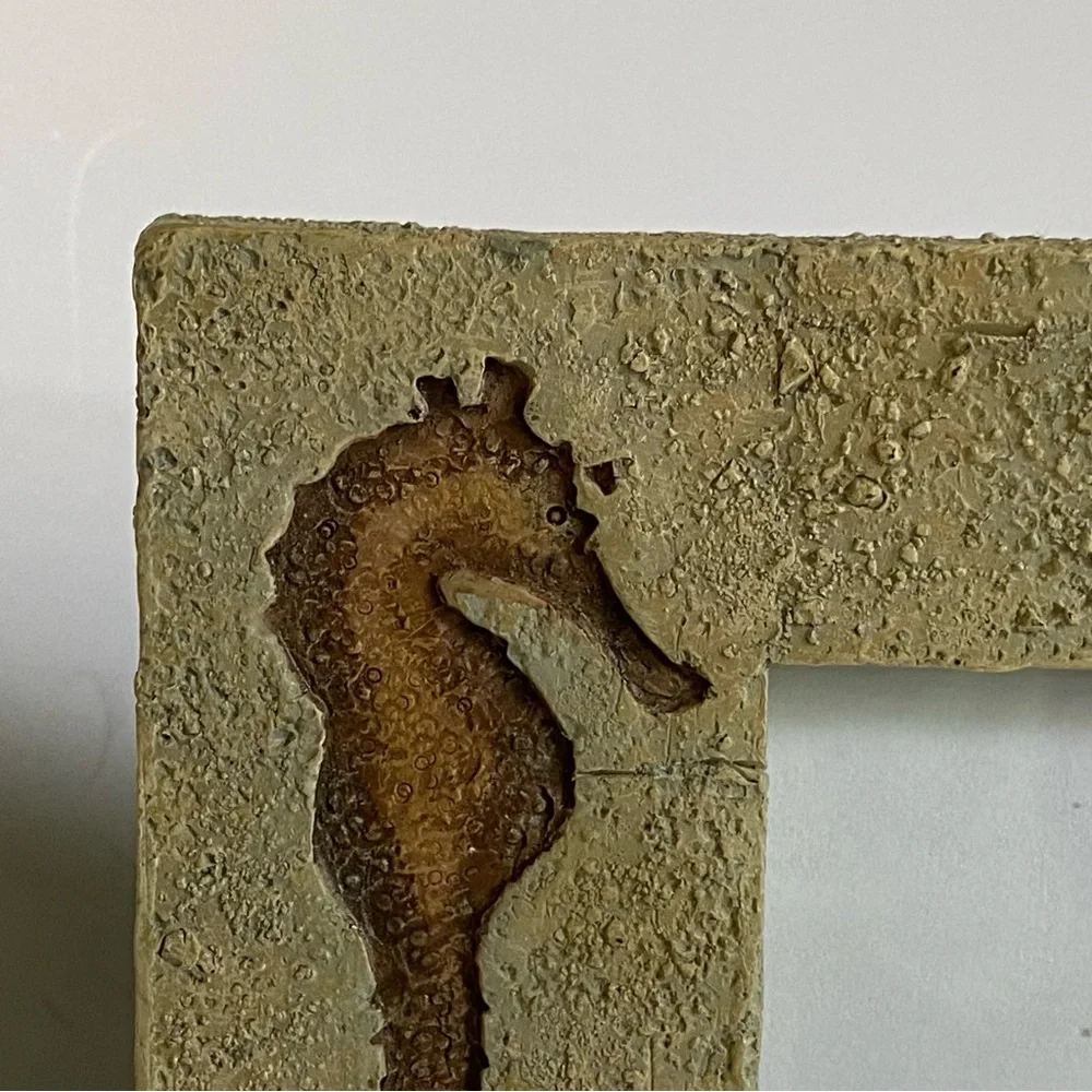 Seahorse Sand Dollar Frame 3 X 5 Photo Beach Nautical Ocean Ceramic Resin EUC
